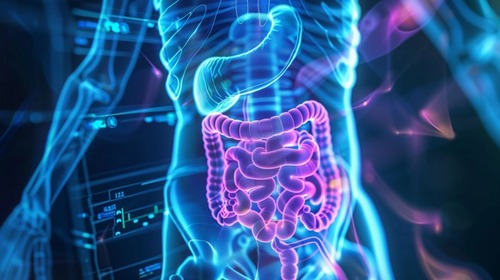 The process of absorption of folic acid in a human body, which is rather slow.